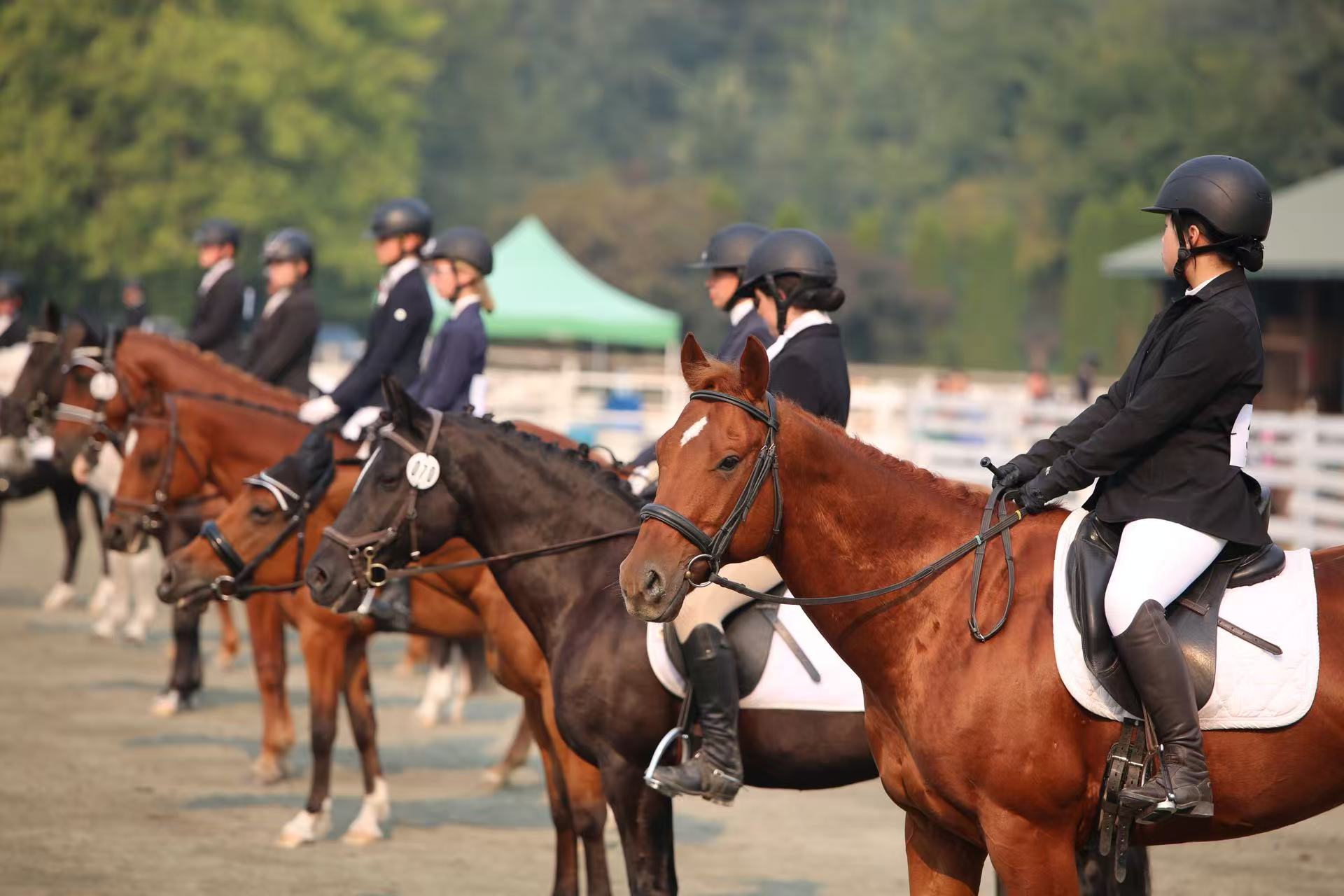 Experienced horse riding coach demonstrating advanced equestrian techniques