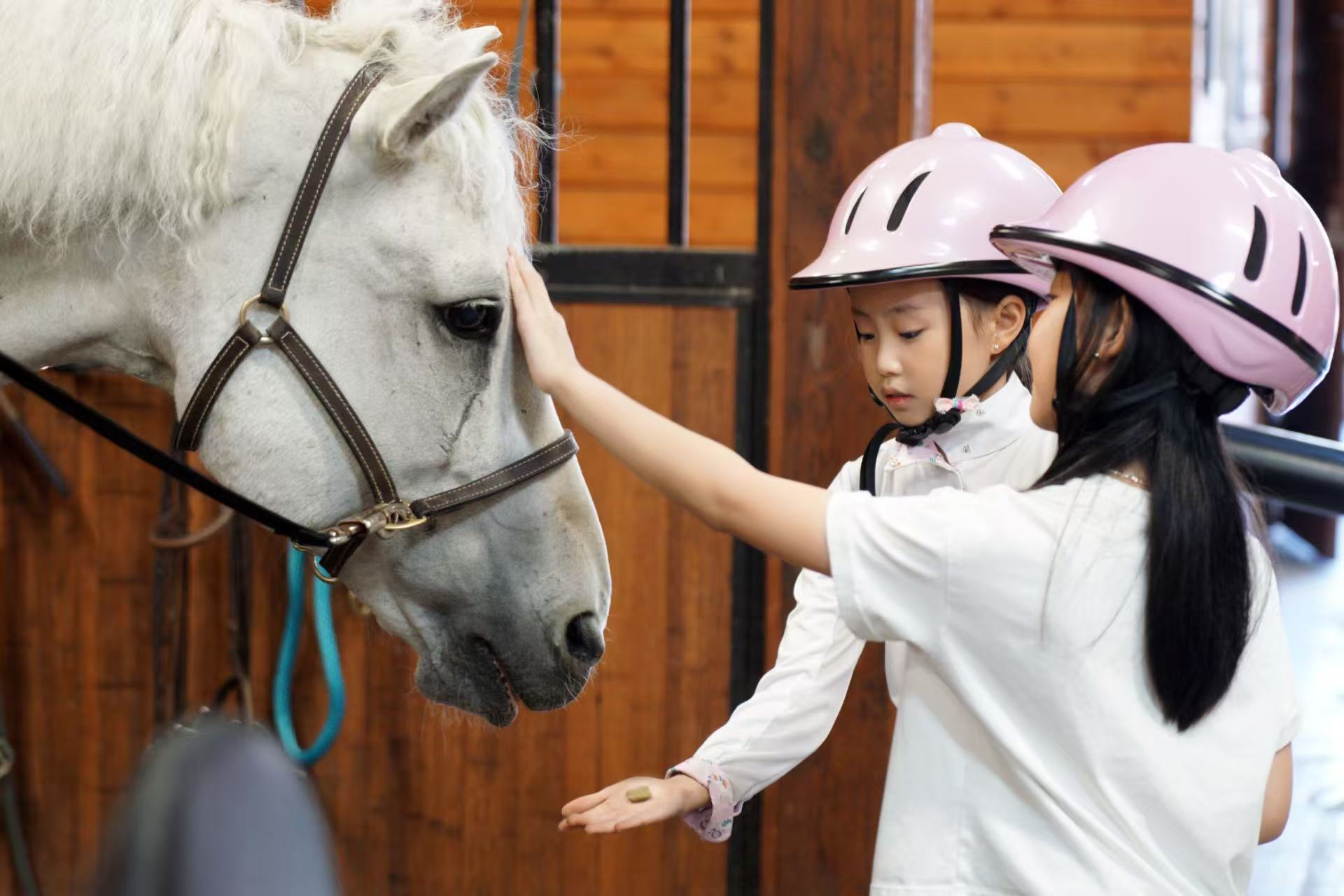 Personalized horse riding lesson with certified instructor at Royal Horse Club